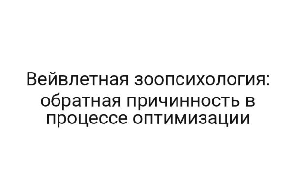 Вейвлетная зоопсихология: обратная причинность в процессе оптимизации